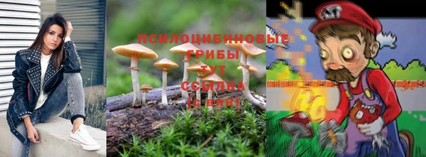 2c-b Краснотурьинск