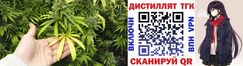 закладки  Монино  Дистиллят ТГК Wax 