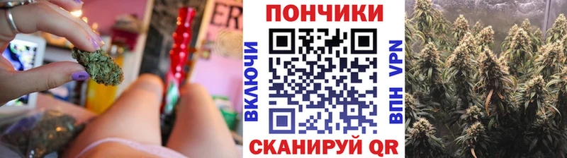 Каннабис гибрид  OMG tor  Монино 